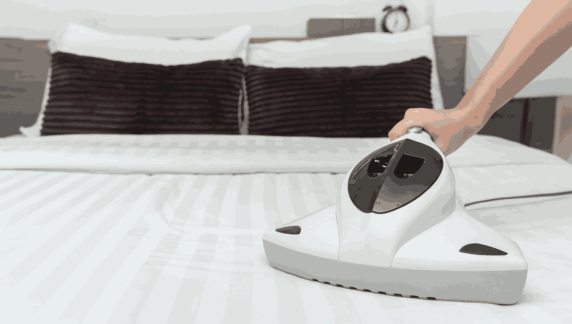 Professional Mattress Cleaning The Basin